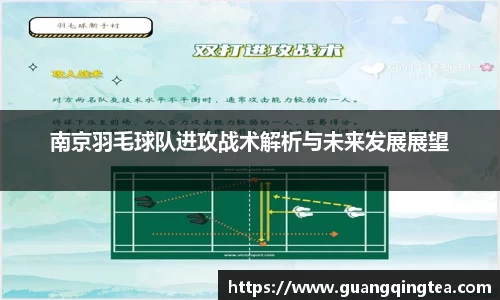 3377体育