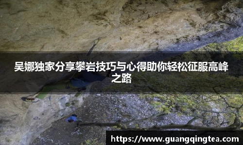 3377体育