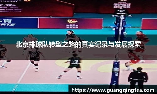 3377体育首页