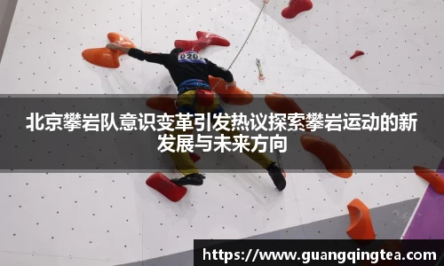 3377体育官网