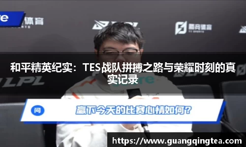 3377体育官网