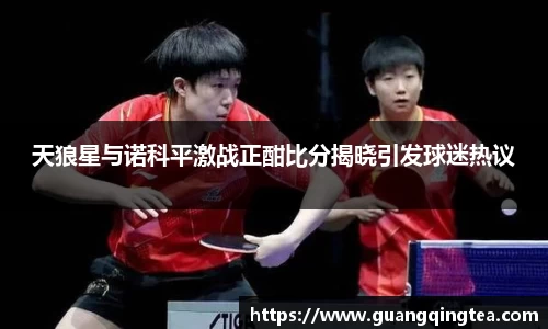 天狼星与诺科平激战正酣比分揭晓引发球迷热议