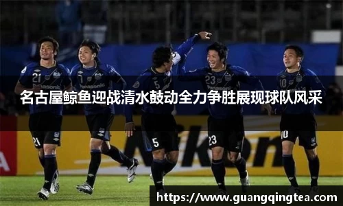 3377体育官网