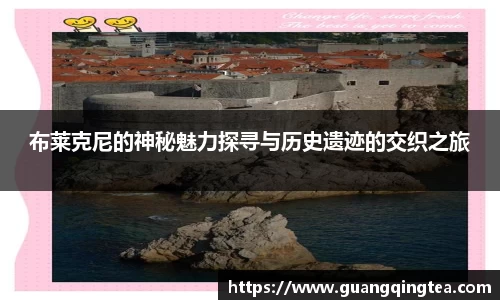 3377体育APP