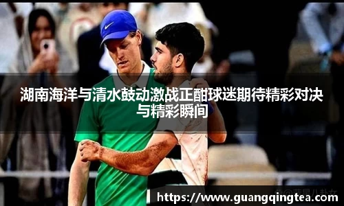 3377体育官网