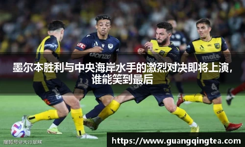 3377体育官网