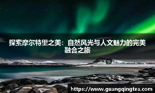 3377体育官网