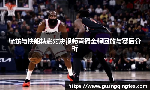3377体育官网