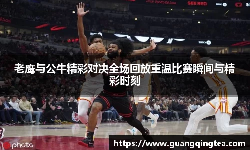 3377体育官网