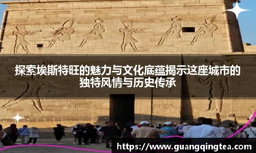 3377体育官网