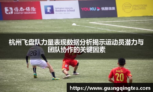 3377体育官网