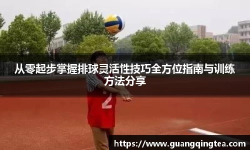 3377体育官网