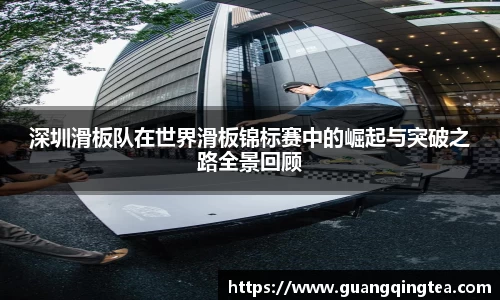 3377体育官网