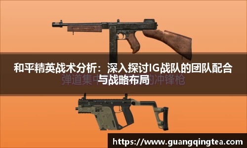 和平精英战术分析：深入探讨IG战队的团队配合与战略布局