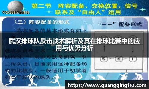 3377体育官网