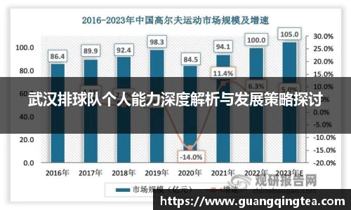 武汉排球队个人能力深度解析与发展策略探讨